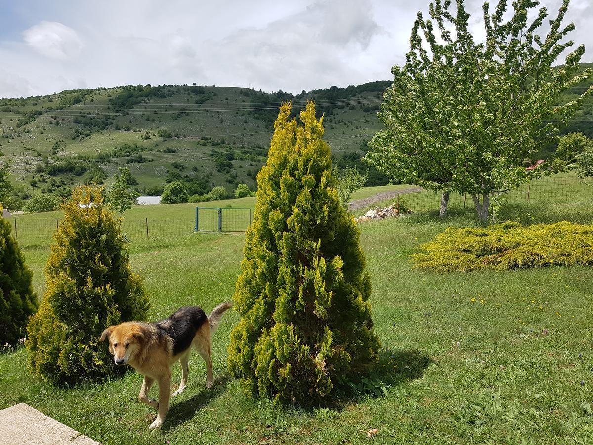 Holiday Home Zavicaj Plužine Eksteriør billede