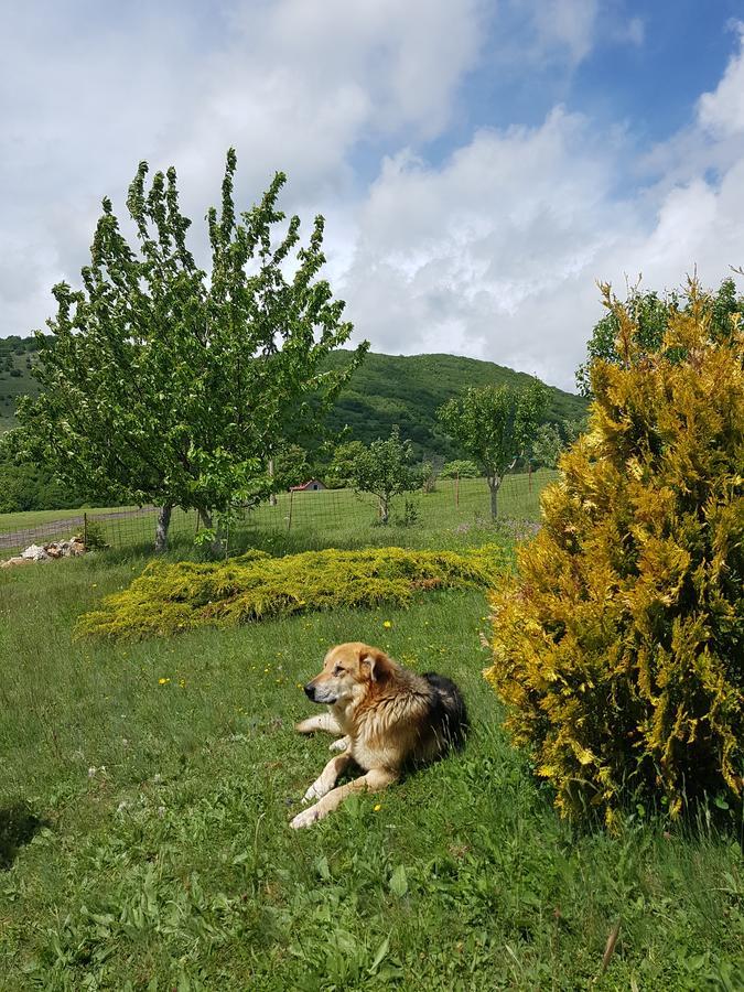 Holiday Home Zavicaj Plužine Eksteriør billede